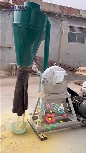 Corn Grinding grain pulverizing machine maize grinder #grindingmachine