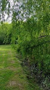 Alpenhaus Bier und Gasthaus on Reels