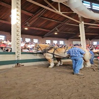 2024 Iowa State Fair - Draft Horse Pull - Smith Draft Horses