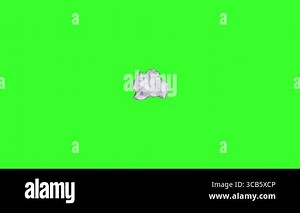 Black Friday sale, shopping and cart icon isolated on transparent background. Different tag shape and icon. bundle. collection. Discount only this month Stock Video Footage - Alamy