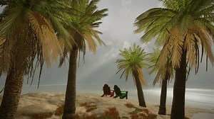 Tropical Mexican Palms Ocean Storm Beach : vidéo de stock (100 % libre de droit) 960808 | Shutterstock