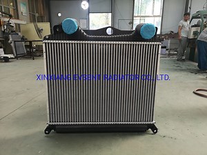 [Hot Item] Intercooler OEM 81061300232 97034 OE 81061300198 81061300180 for Man Tga Tgx