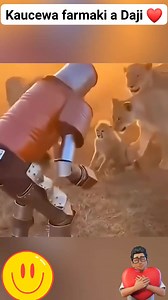 415K views · 9.7K reactions | Kaucewa farmaki a Daji ❤朗 #survival #safety #animals #wildlife #hunting #jungle | Auwalu Tukur | Facebook