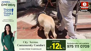 Bomb threat at Covai district collectorate - Bomb squad conducts intensive search #bombthreat #covai #district #collectorate #bomb #intensive #thecovaipost #coimbatore | The Covai Post