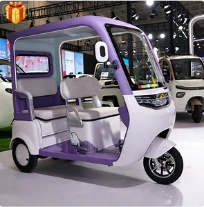[Hot Item] Adult Electric Tricycle 1000W Motor Electric Passenger Tricycle Electric E-Trike for Family Transport and Taxi Use