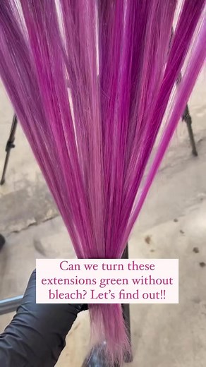 We don’t always need bleach to switch up color! 🎨 Just some patience and knowledge of the color wheel!!👏#tinsel #tinselhair #holidayhair #greenhair #hairextensions | Babe Hair Extensions