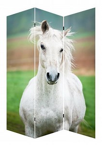 [Hot Item] Screen Art Retro Porch Living Room Mobile Folding Custom Furniture Room Partition Wall Divider