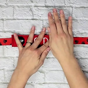 Embroidered Leash Wrap: "no Dogs" With Stop Sign for Dogs That Need Social Distancing | Dog Leash Sleeve | Dog Leash Sign | Dog Warning - Etsy Canada