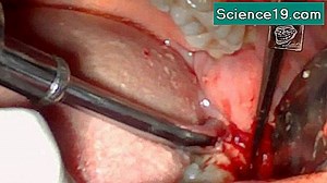 Molar Emilim Katsayısı Nasıl Hesaplanır? 💫 Bilimsel Ve Popüler Multimedya Portalı. 2025