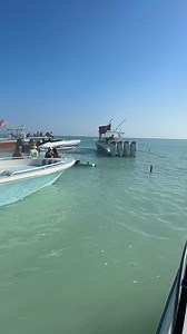 Sandbar Saturday! | Beach Dollar