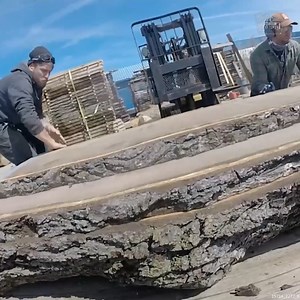 Slabbing a GIANT Walnut LOG | Third Coast Craftsman