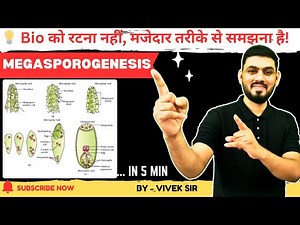 Megasporogenesis | Development of Mature Embryo Sac | by - Vivek Sir