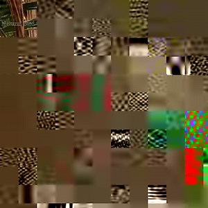 Greater coucal birds Catch a mouse to feed your child Catch a mouse & Emerald tree monitor to feed your child | Natural Bird Check