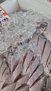 3.5K views · 13 reactions | SEXTOUUUUU Muito Bom Dia para todos os amigos e clientes! Funcionando de 07h às 20h.⏰ BOLINHO DE BACALHAU: *29,99kg* EMPANADO de CAMARÃO: *29,99kg* CAMARÃO LIMPO: *39,99* 500g BACALHAU: *59,99kg* 寧MARISCO: *19,99 500g* 寧MEXILHÃO: *19,99 500g* 撚 LULA: *34,99 500g* PEIXARIA DO FABINHO ❌Não realizamos entregas. Rua Marquês de Maricá 15 - SANTA CRUZ - Ponto de referência: Igreja universal - TRE. | Santa Cruz News | Facebook