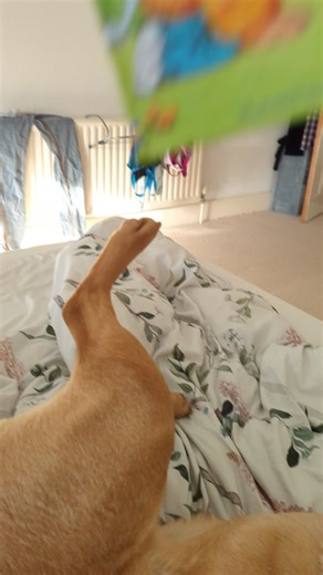 1K views · 18 reactions | Fran - Whinge Whinge Wine on Reels | Facebook