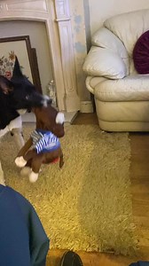 Barney sees the planes attack Kong#kingkong | Stephen Kelleher