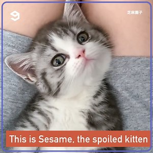 179K views · 10K reactions | told you not to eat so fast. | 9GAG Vibes | Facebook