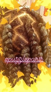 #puzzleparts #boxbraids #appointmentsavailable 2485956547(text) | Beautiful Braids and Twist