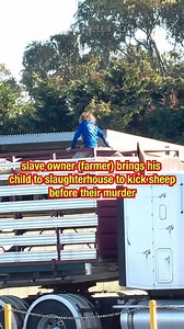 Yesterday, animal rights activists held a vigil to document The Animal Holocaust, witnessing the final moments of life for animals before they were murdered. One slave owner brought his child along to assist in kicking and forcing the sheep off the vehicle. It is deeply concerning to see a child being conditioned from such a young age to believe that enslaving, abusing, and murdering non-human people is “normal” and “acceptable”. After unloading the animals, the driver exited the slaughterhouse 
