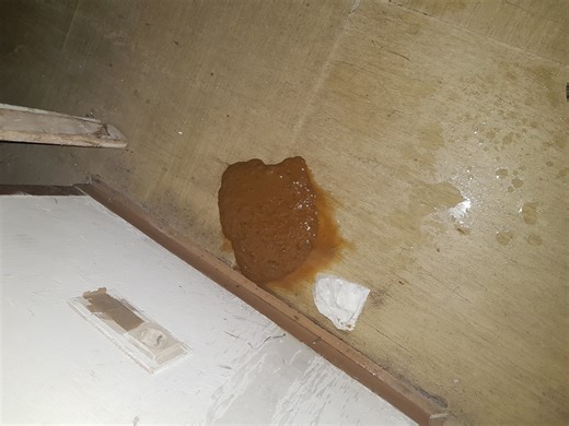 Piss and shit in basement #7