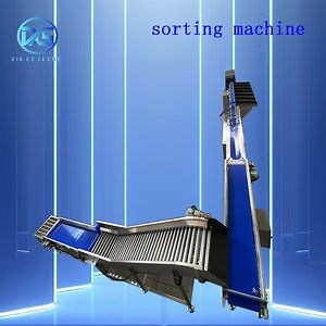 [Hot Item] Automatic Fruit Grading Machine with Ai Classify by Brix for Food Processing