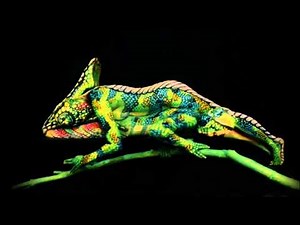 This Chameleon is Actually Two Body Painted Women