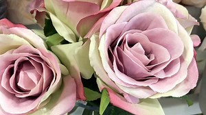 As promised here is a video showing how I color coffee filters for all my projects. Learn more on my blog here https://justthatperfectpiece.com/how-to-color-dye-coffee-filters/ #coffeefilters #howtocolorcoffeefilters #paperflowers | Just That Perfect Piece