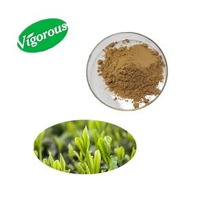 [Hot Item] Green Tea Good Flavor in Stock Instant Green Tea Extract