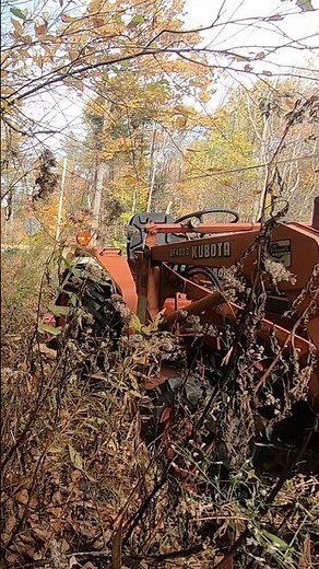 Flail Mowing with the 1987 Kubota L2250 & Sundown Cosmo Rabbit FL115 #flailmower #groundzerostumps