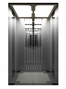 [Hot Item] Vvvf House Sightseeing Observation Elevator Passenger Elevator