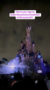 1.7K views · 12 reactions | This is your sign to book the princess breakfast at Disneyland!  @Disneyland Paris ✨ #disneyland #princessbreakfast #disneyprincess #cinderella #merida #aurora #fyp #Disney | Half Assed Hippie Mama | Facebook