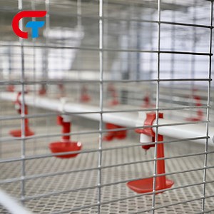 [Hot Item] H Type Layered Broiler Brooder Laying Chicken Cages Poultry Feeders and Drinkers