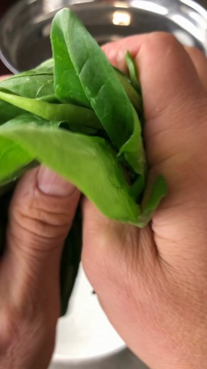 PUREJuicer on TikTok