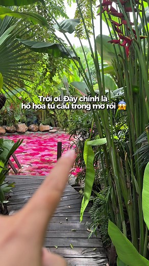 Cái Tổ Chim cafe Sài Gòn – quán hoa cẩm tú cầu ở Võ Nguyên Giáp