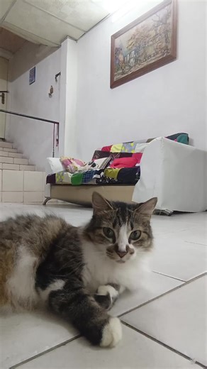 angievivas._ on TikTok