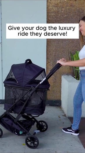 Your pup deserves first-class rides—meet the Pootler, the ultimate stroller for stylish strolls. 🐾✨ #dogstroller #petstroller #puponthergo #dogstroller #joovy #doglovers #adventurepup #petgear | joovy