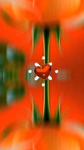 3.3K reactions · 1.1K shares | Title -  La paloma  #music #lovesong #oldsongslover #musiclover | Patricio Abordo | Facebook