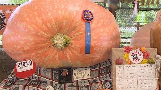 Cattle, pumpkins, games and rides steal the show at the 150th edition of the Durham Fair
