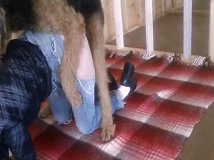 A whore fucked brutally by her dog.