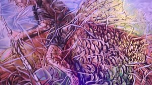 City of Hialeah - Municipal Government on Reels