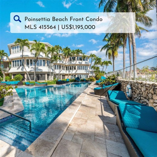 YOUR OWN 7 MILE BEACH SANCTUARY Poinsettia are a very small group of...