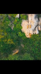 8.1K views · 22 reactions | Amazing videos | Hi-tech Gadgets | Facebook