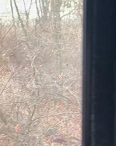 What a perfect shot on this beautiful giant typical 7x7! | Illinois Dominant Bucks