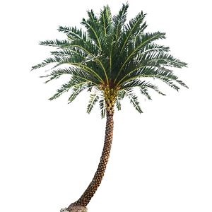 [Hot Item] Artificial Tree China Indoor Outdoor Landscaping Faux Trees Artificial Date Palm Tree