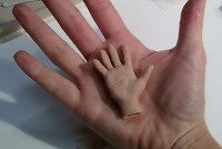 Hands - Natalie Coblentz