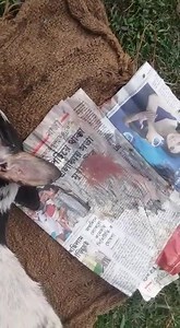 24 reactions | #CaseNo658, 04.02.20: Airport no. 1 Gate, 6-7 months...