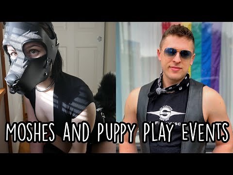 Petplay Event & Puppy Mosh Survival Guide With Pup Amp!