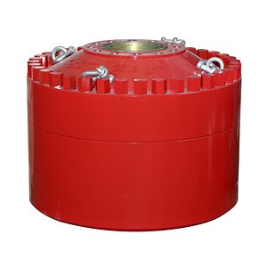 [Hot Item] Bolted Cover Annular Type Bop for Wellhead