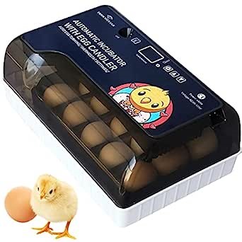 Egg Incubator, Small Automatic Incubators for Hatching Chicken Quail Peacock Duck Bird,Digital Temperature Humidity,Built-in Eggs Candler