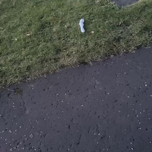 Right seriously, whats going on in fife? Is this number 5? Whos the repeat offender here? | Fife jammer locations